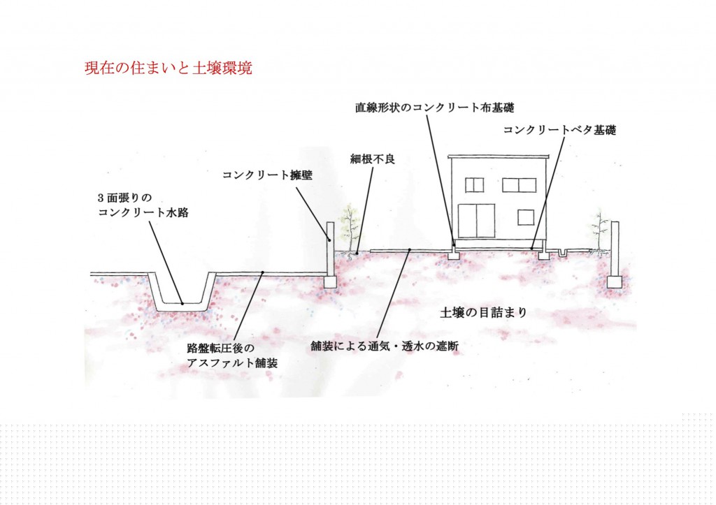 水脈１